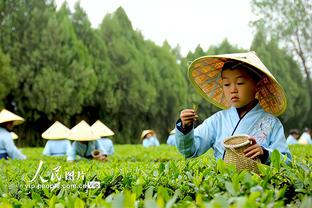 雷竞技下载苹果截图0